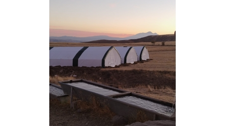 Büyük Baş Hayvan Çadırı